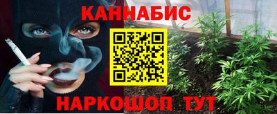 сатива Краснодар